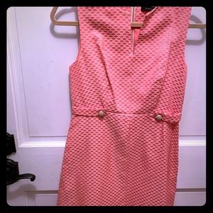 Cynthia steffe designer dress size 2